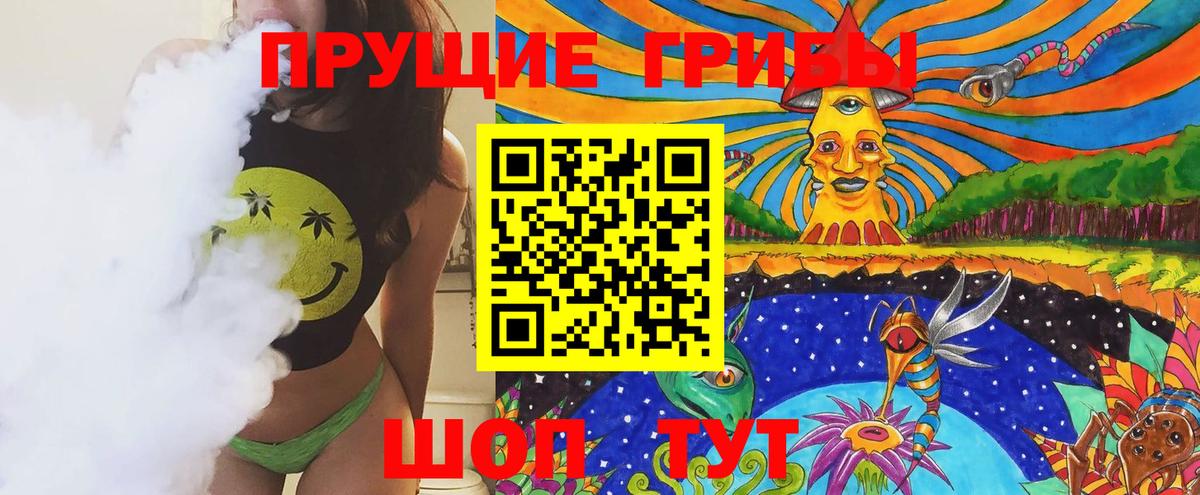 Галлюциногенные грибы Psilocybine cubensis Вятские Поляны